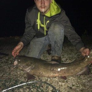 Meet your Posher, Everett